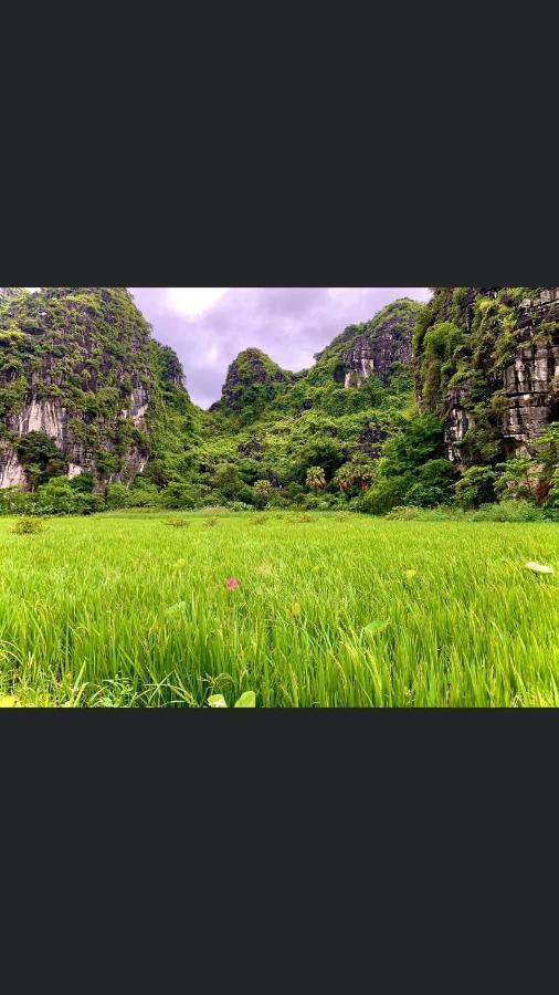 Tam Coc Scenery Homestay Van Lam Екстер'єр фото